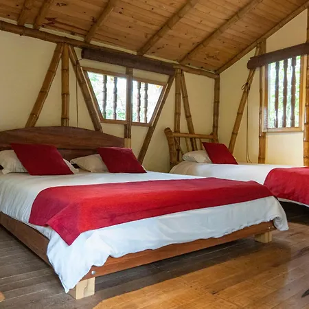 Finca Ecologica El Maco San Agustín Room photo
